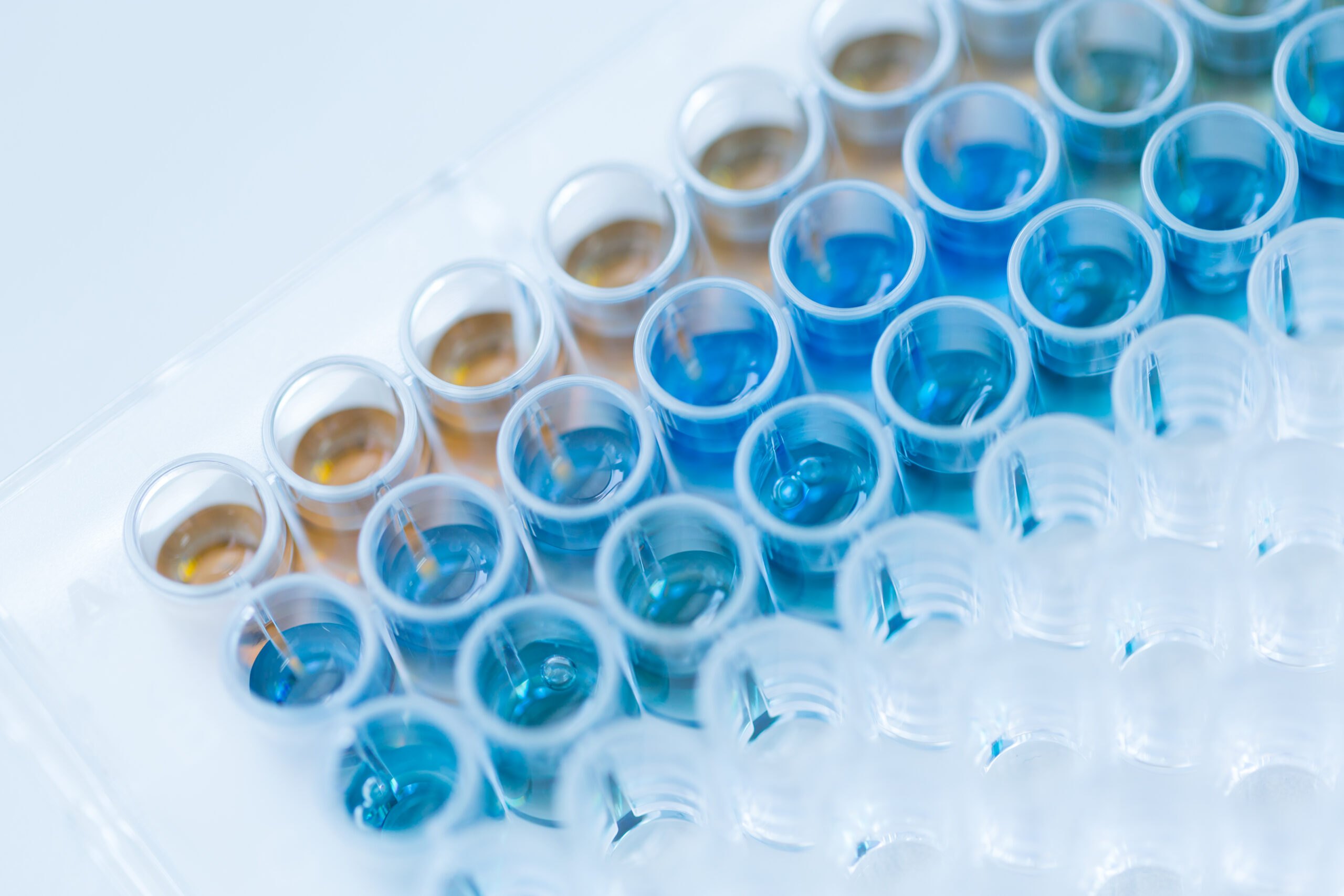 Mycotoxin ELISA Kits for Food Safety Testing